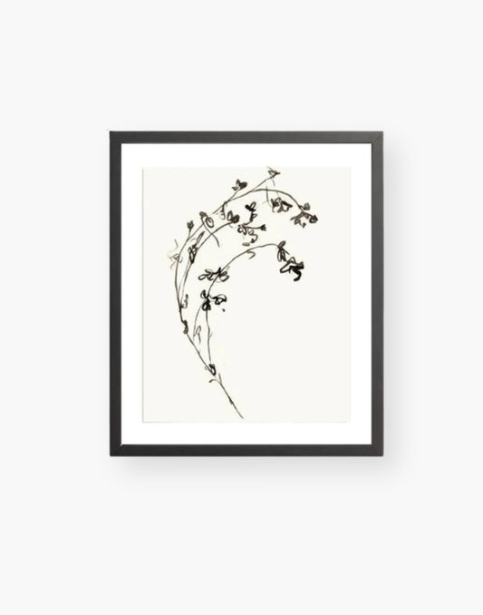 Botanical Ink Print with Black Frame