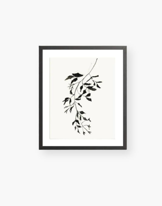 Botanical Ink Print with a Black Frame