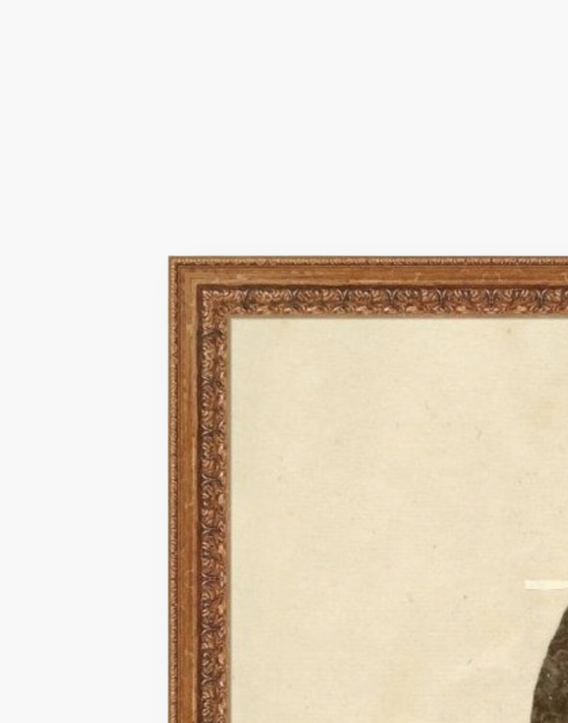 Botanical Print in Madrid Gold Frame