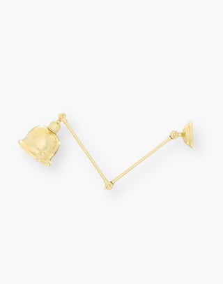 Extendable and Adjustable Poster Light in Polished Brass