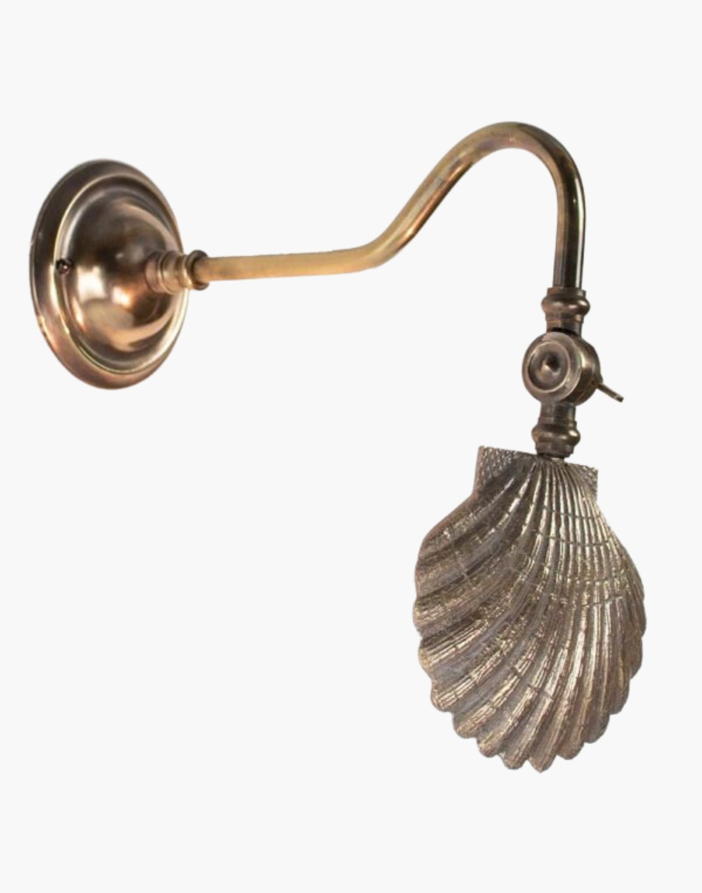 Oyster Shell Picture Light