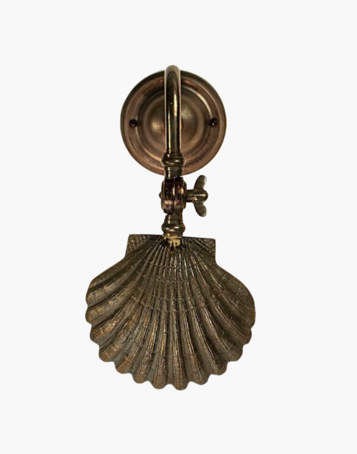 Oyster Shell Picture Light