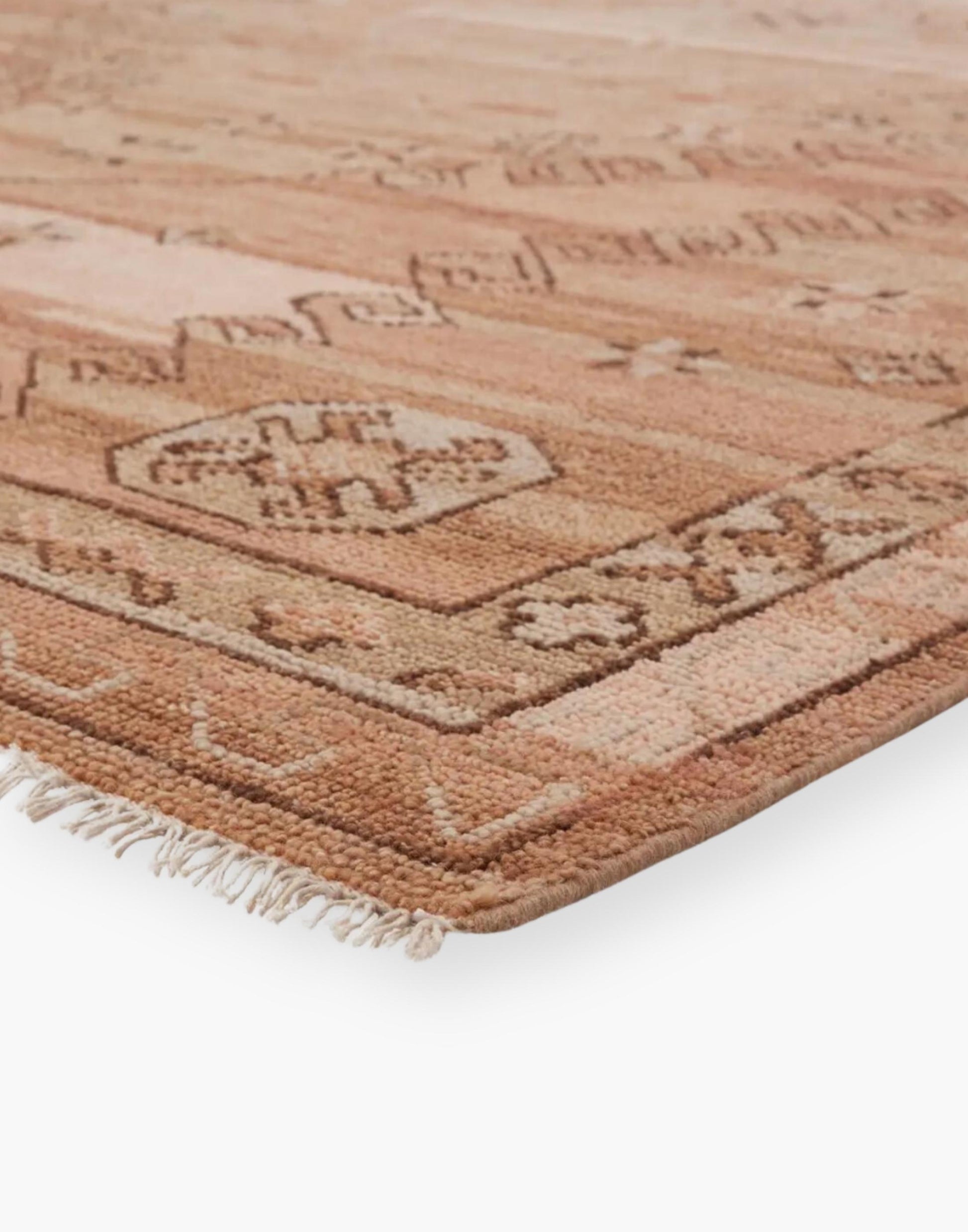 Terra Cotta Desert Rug boasting a rusty desert color palette