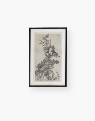 Black and White print of Tree Tops