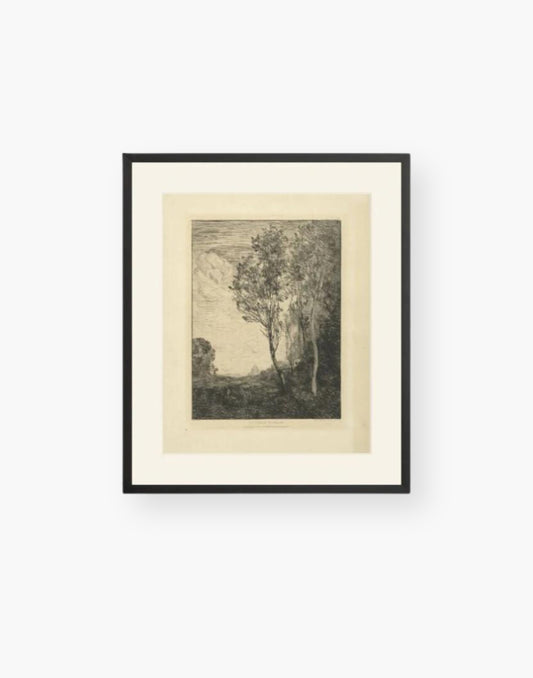 Tree Sketch in Floated Black Frame